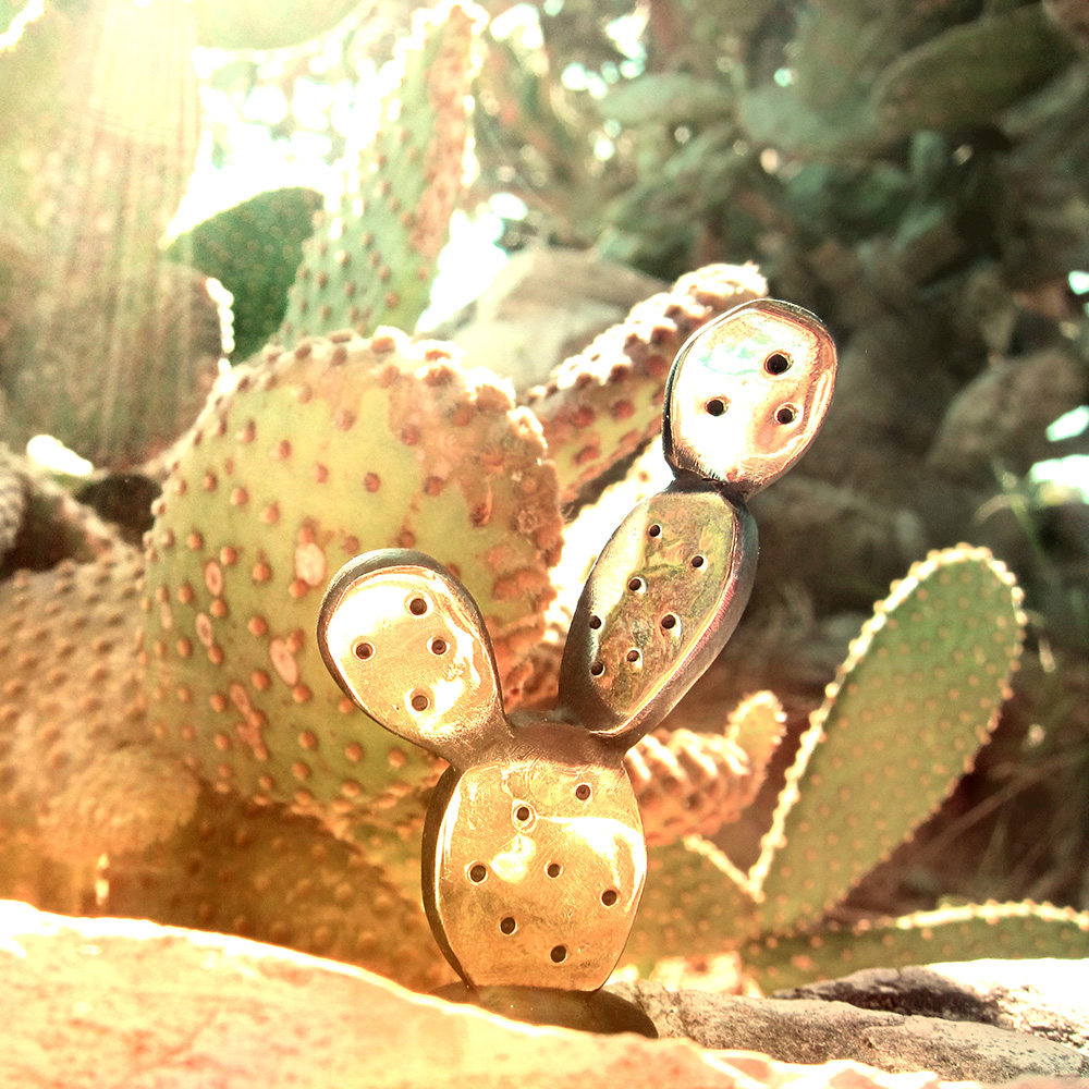 Walter Bosse Cactus